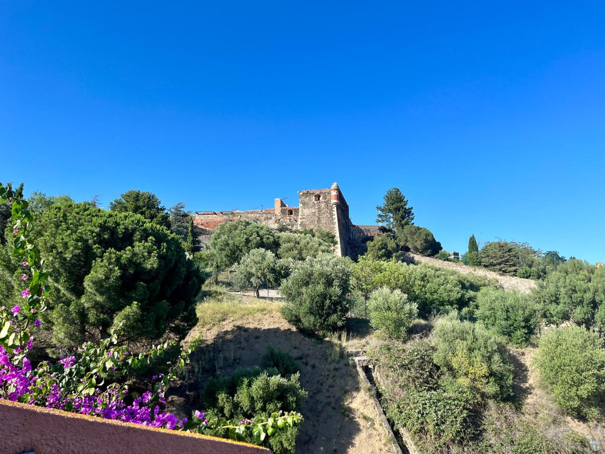 Appartement Collioure, Grande Terrasse Et Parking Exterior photo