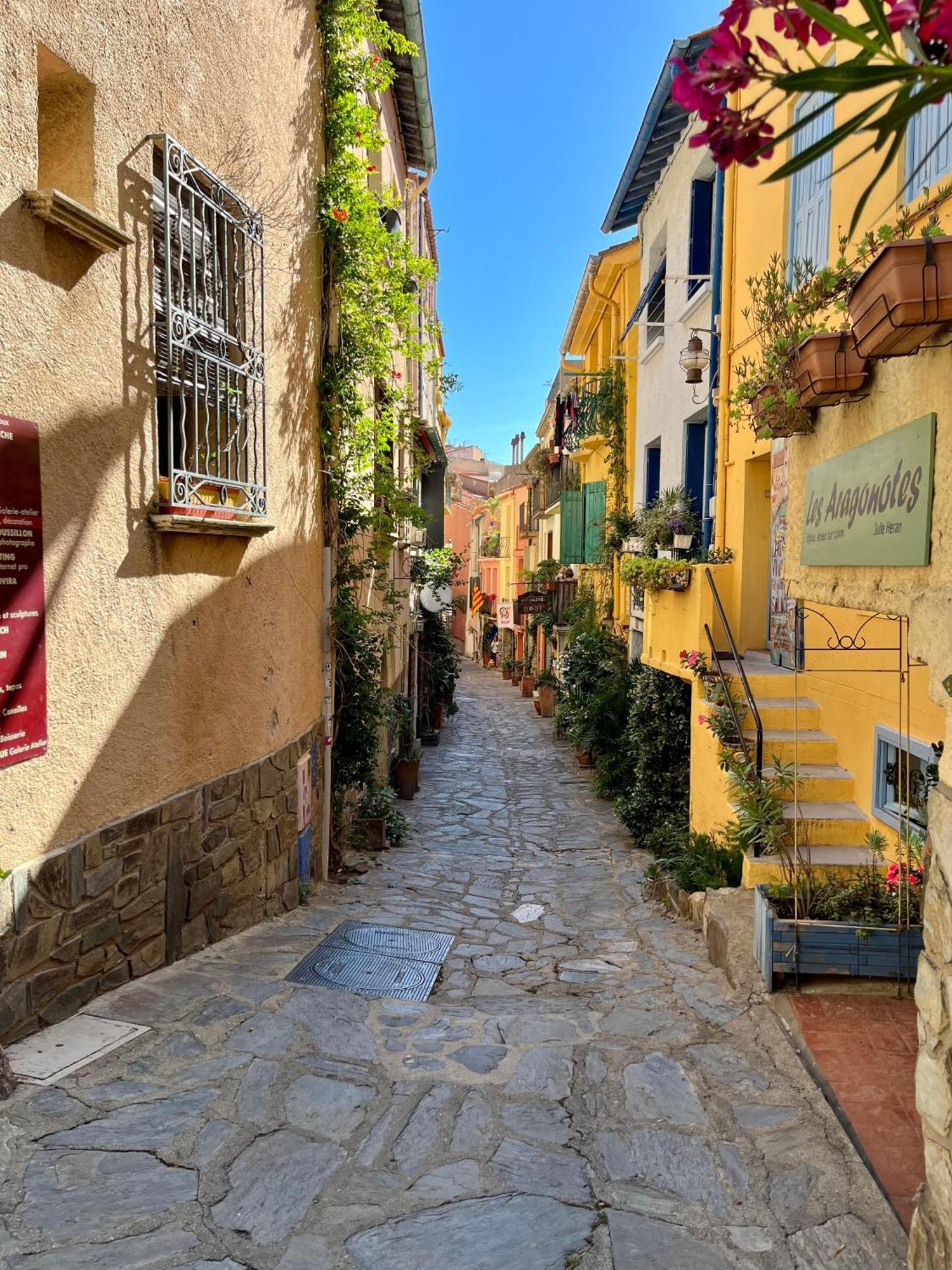 Appartement Collioure, Grande Terrasse Et Parking Exterior photo